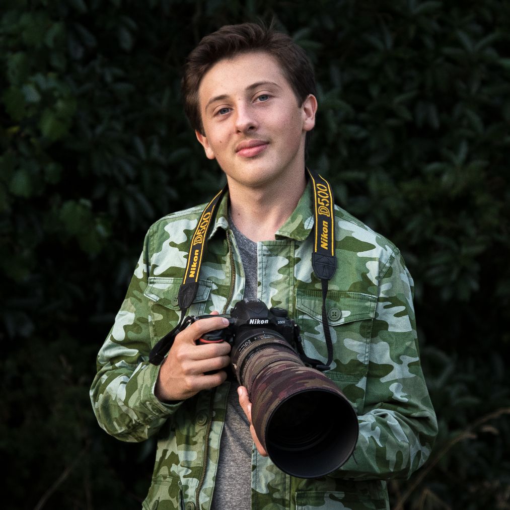 D'Artagnan Sprengel Photography